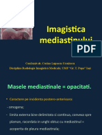 5.mediastin.pptx