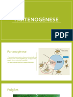 Partenogénese