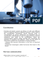 Lecture_1_coordination.pdf