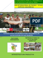 04 Avances en el Desarrollo de la Acuicultura en San Martin