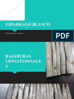 Esparrago Blanco