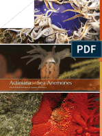 Actiniaria Sample PDF