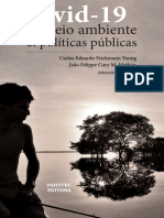 Covid-19 Meio Ambiente e Politicas Publicas.pdf