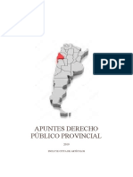 APUNTES PÚBLICO PROVINCIAL.pdf