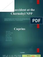 Accidentul de la CNE din Cernobâl