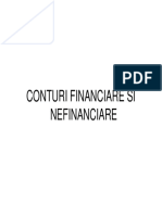 2.Conturi Financiare Si Nefinanciare