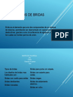 TIPOS DE BRIDAS 123