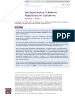 The Electrophysiological Substrate of Early Repolarization Syndrome