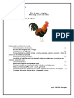 pasari_domesticerezolvare_scv.pdf