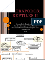 ZOOLOGÍA DE VERTEBRADOS Clase 7 Tetrápodos Reptiles II