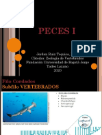ZOOLOGÍA DE VERTEBRADOS Clase 3 Peces I.pdf