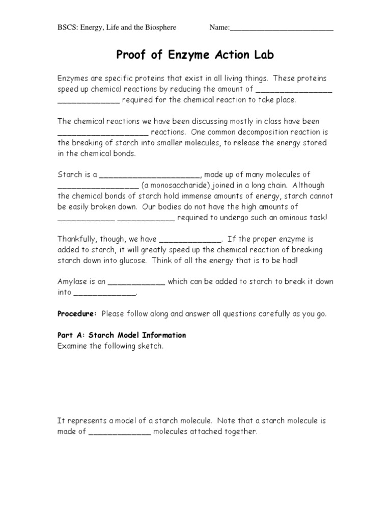 Proof of Enzyme Action Lab Testing the Role of Amylase Enzyme in