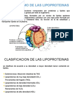 Metabolismo de Las Lipoproteinas