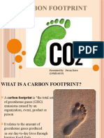 Carbon Footprint: Presented By: Pavan Dave (10MBA019)