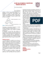 OBTENCIÓN DE GLUCOGENO A PARTIR DE HÍGADO DE RATA