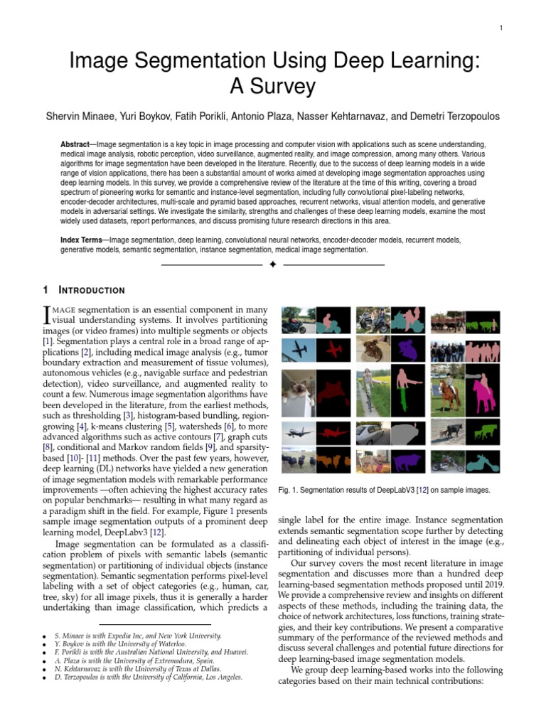 Deep Learning in Image Segmentation | PDF | Image Segmentation | Deep ...