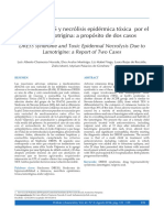 Síndrome DRESS y Necrólisis Epidérmica Tóxica Por El Uso de Lamotrigina: A Propósito de Dos Casos