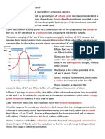 Action Potentials and The Synapse Summary