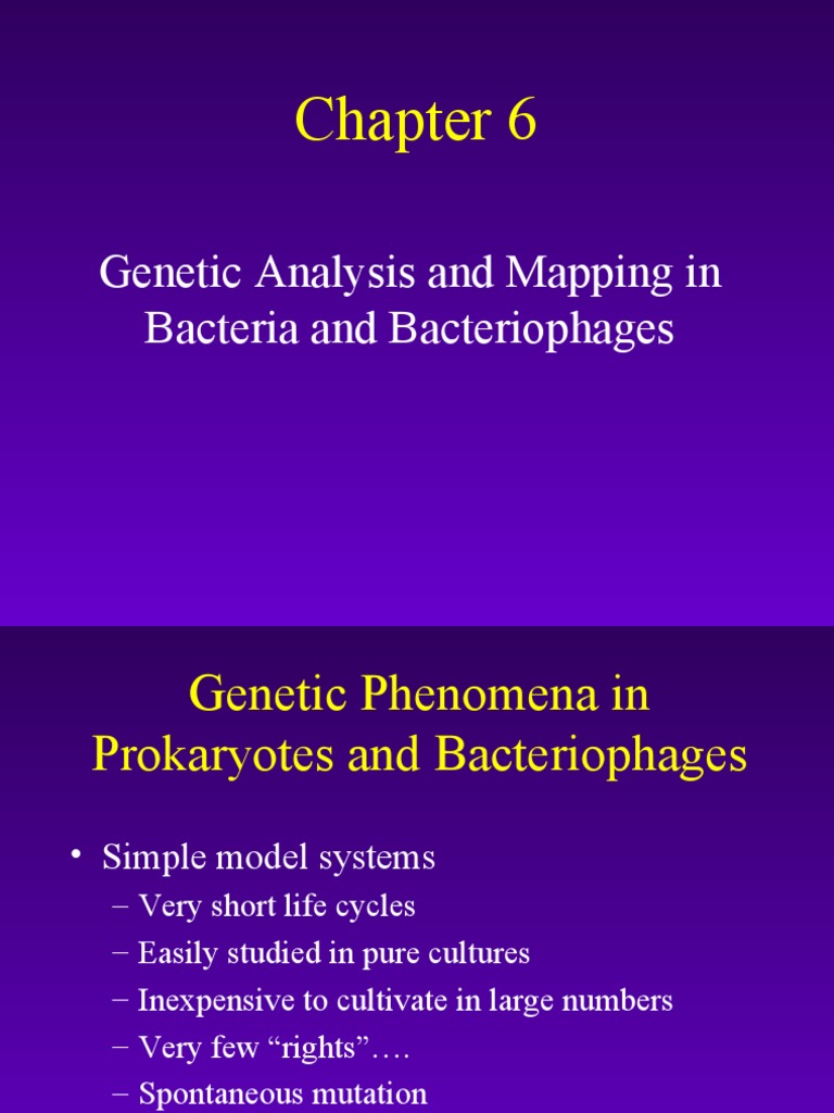 Bacterial Genetic Mapping Techniques | PDF | Bacteriophage | Plasmid