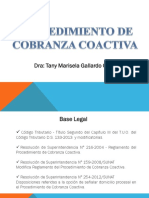 CobranzaCoactiva Cambios 2020 PDF D