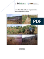 Impact Assessment of Small Scale Pump Irrigation in The Somali Region of Ethiopia