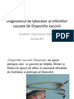 Diagnosticul de Laborator Al Infectiilor Cauzate de Diaporthe