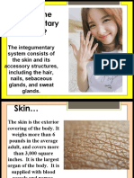 The Integumentary System Consists of The Skin and Its Accessory Structures, Including The Hair, Nails, Sebaceous Glands, and Sweat Glands