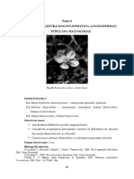 T.6-Subîncrengătura Magnoliophytina (Angiospermae)