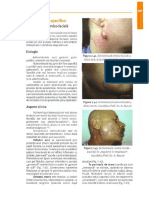 Infectii Specifice PDF