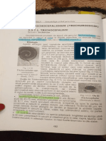 Trichuroza PDF