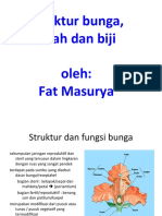 Fat Masurya - Tugas - Struktur-Bunga-Buah-Dan-Biji