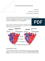 Integración vascular corregido