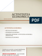 Activitatea Economica - 2020