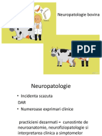 curs 11.pdf