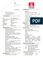 Curriculum Vitae PDF