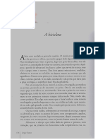 A bicicleta - Sérgio Faraco.pdf