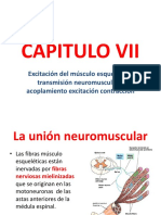 5.-Capitulo 7 Transmision Nueromuscular