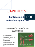 4.- CAPITULO 6 . CONTRACCION MUSCULO ESQUELETICO (1)