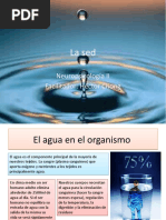 Download La sed by Hctor Chong SN49104485 doc pdf