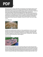 Download Bibit Gurame by ceska_cute SN49104644 doc pdf