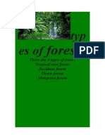 Types of Forests