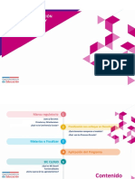 Programa Fiscalización Proceso de Formación y Convivencia Supereduc.pdf