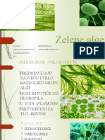 Zelene Alge