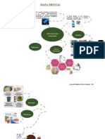 Mapa Mental Salmonella