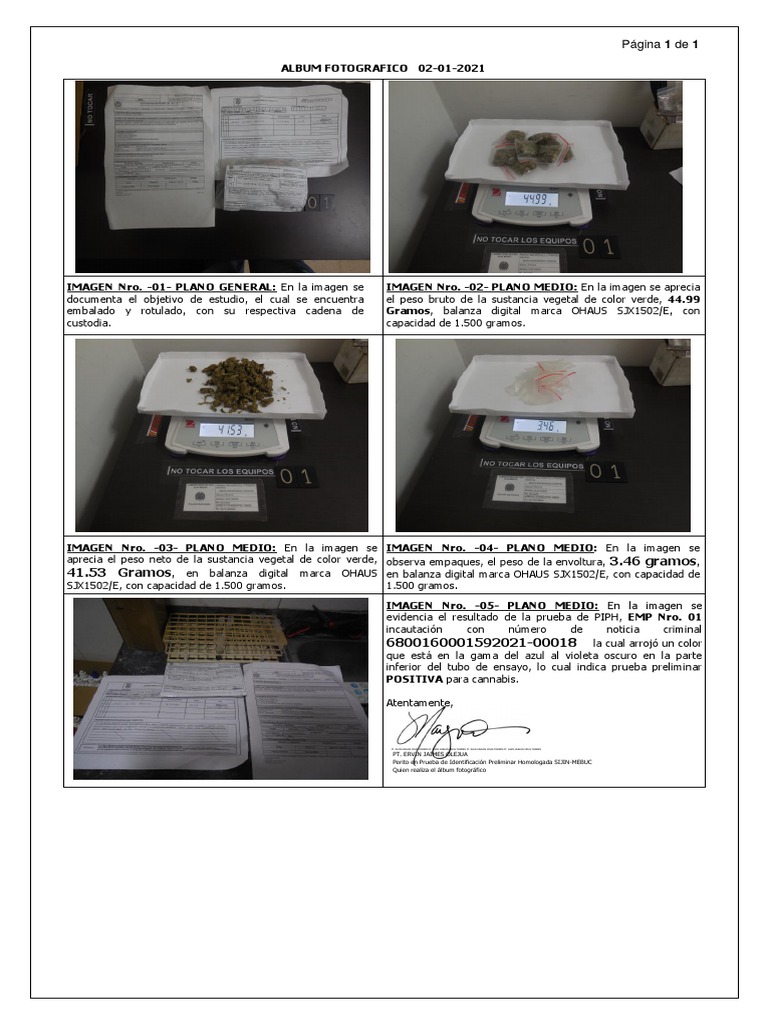 Resultados de Prueba PIPH para Cannabis | PDF