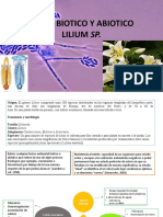 Estres Abiotico y Biotico de Lilium SP.