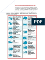 Los Recursos Hidrobiológicos Del Perú