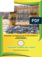 Descriptores de Maiz PDF