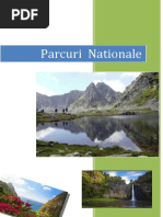Parcuri Nationale