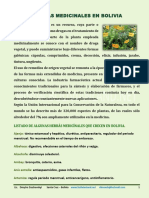 Hierbas_Medicinales_Esp.pdf